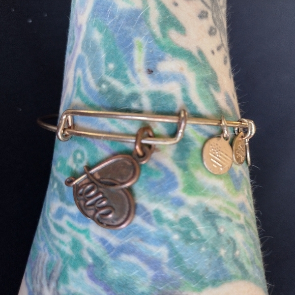 Alex and Ani Rose Gold Heart Charm Bracelet - Picture 2 of 6